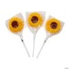 Sunflower Lollipops - 12 Pc. -Candy&Snacks Official Shop sunflower lollipops 12 pc 13654756 1