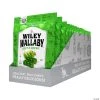 Wiley Wallaby® Green Apple Licorice Candy Packs – 16 Pc.
